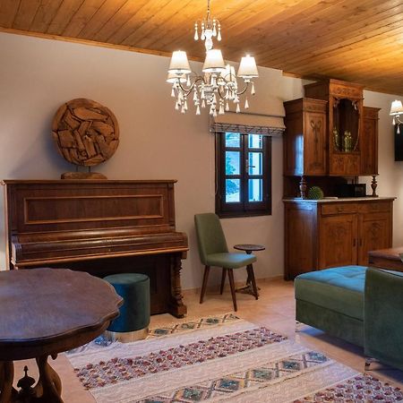 Dandy Villas Tsagkarada Kültér fotó